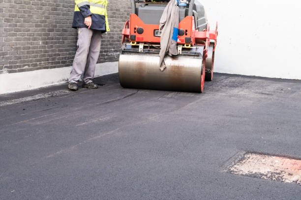 Best Driveway Repair and Patching  in Mount Morris, IL